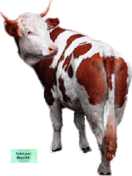 0wtg7nuYEfkK0Y1HuW2_BgThKLk366x369