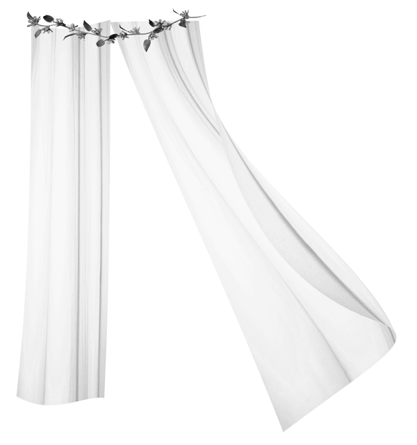 rideau salle de bain transparent