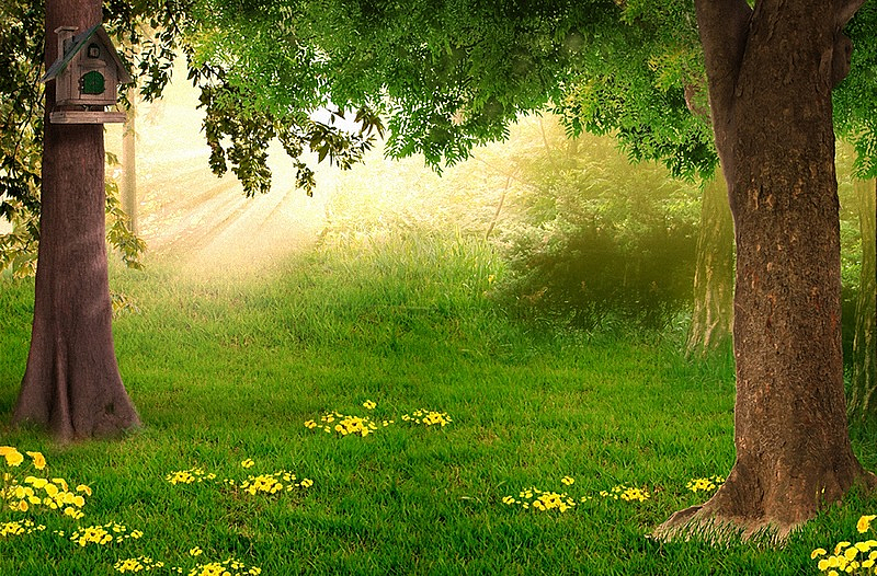 Fond nature