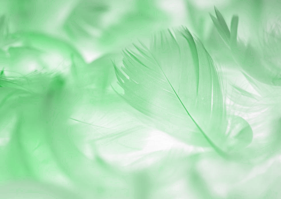 Fond vert