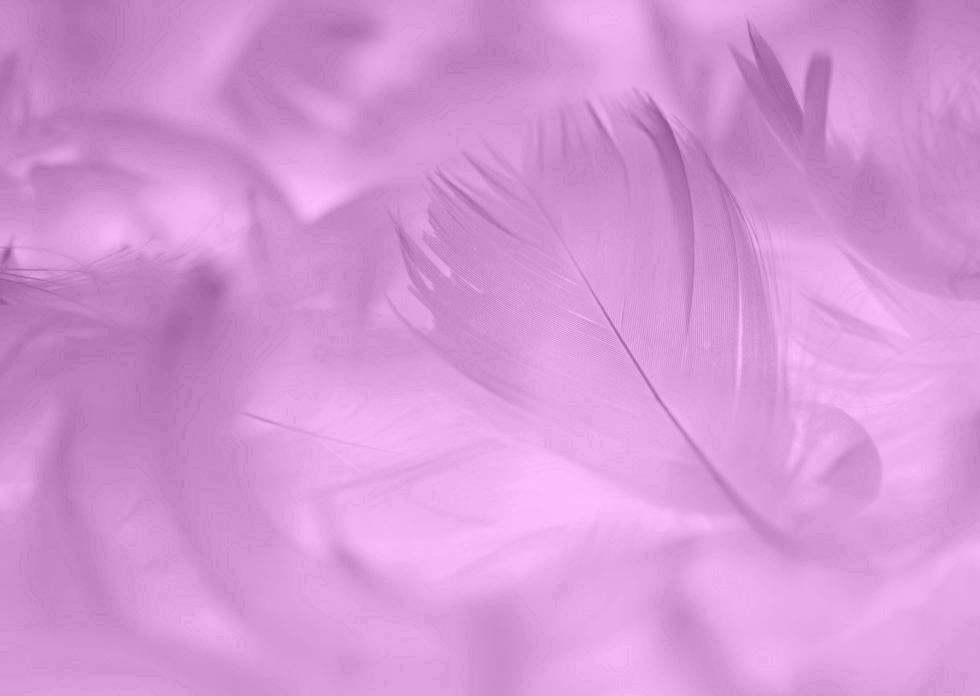 Fond mauve / violet